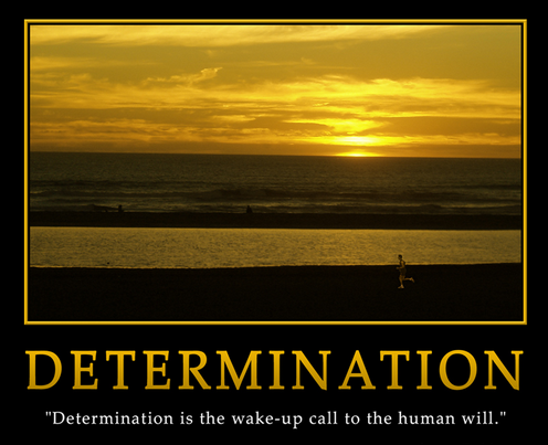 Determination with PageDomination